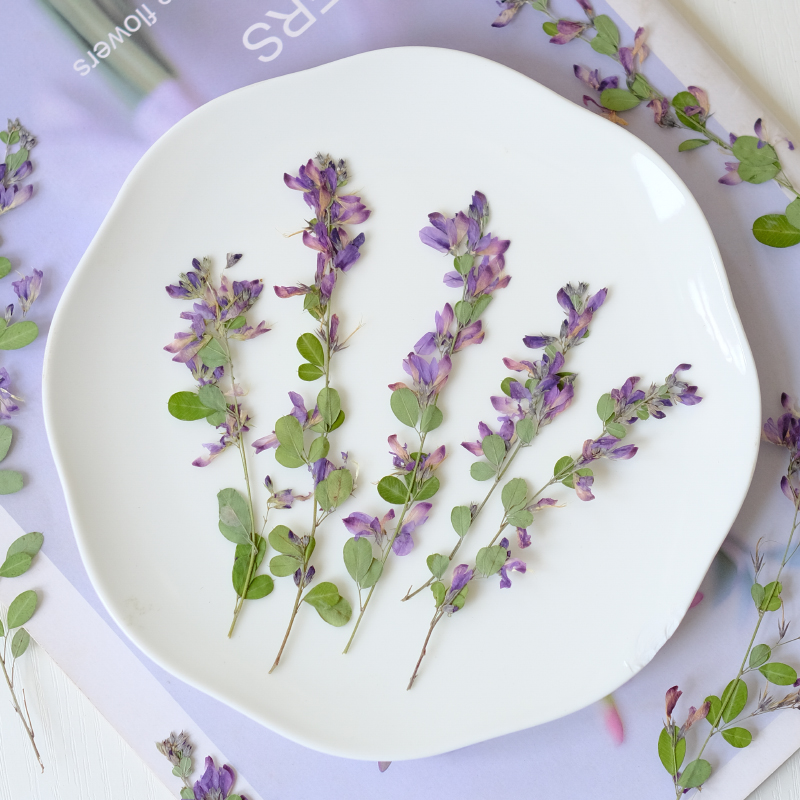6 peças, Flores Secas Naturais - Resin Art Baby avaliação e preço