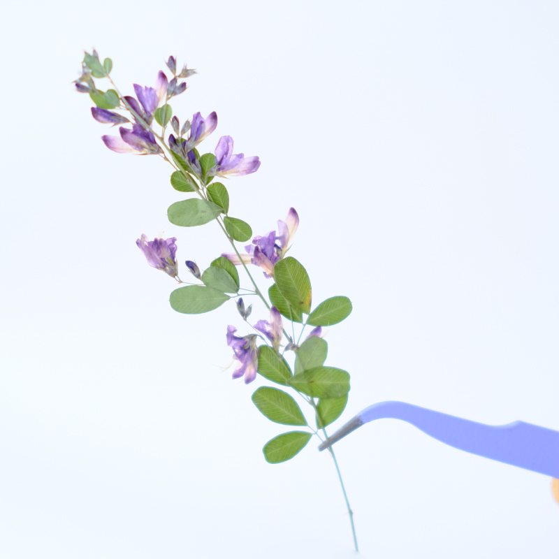 6 peças, Flores Secas Naturais - Resin Art Baby avaliação e preço