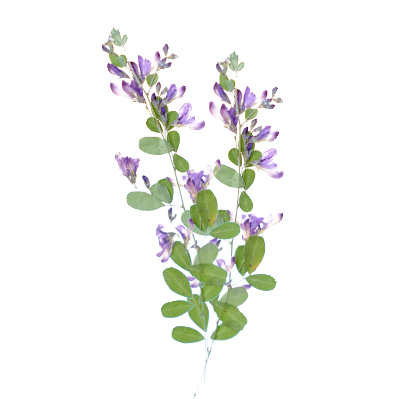 6 peças, Flores Secas Naturais - Resin Art Baby avaliação e preço